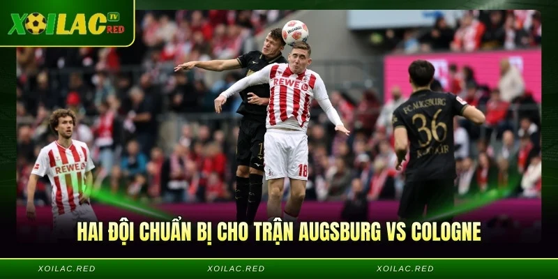 Hai đội chuẩn bị cho trận Augsburg vs Cologne