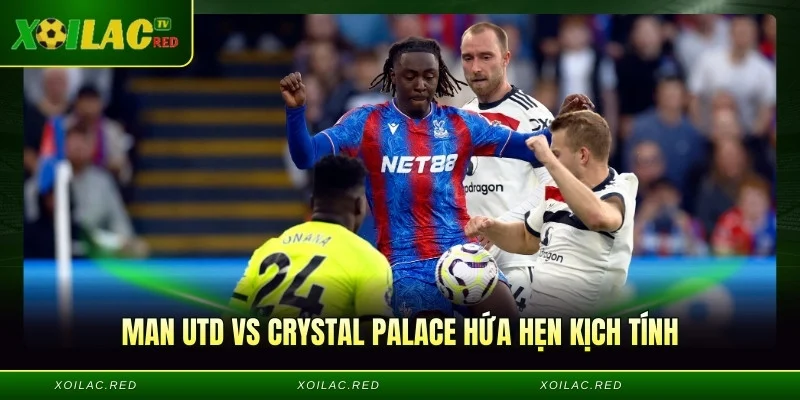 Man Utd vs Crystal Palace hứa hẹn kịch tính