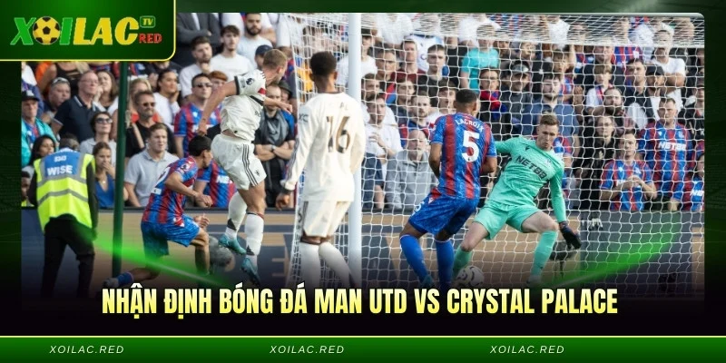 Nhận Định Bóng Đá Man Utd vs Crystal Palace 00h30 Ngày 01/03